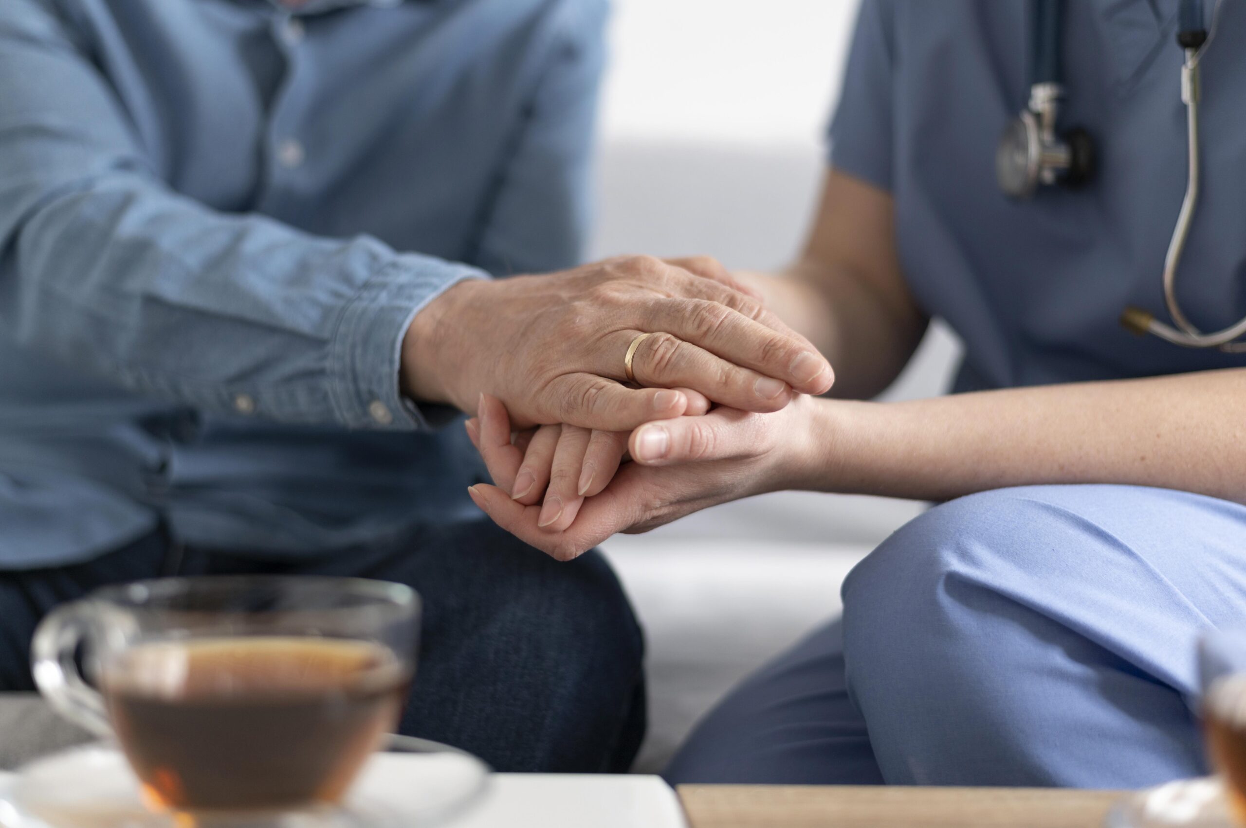 Bac Pro Accompagnement, Soins et Services à la Personne