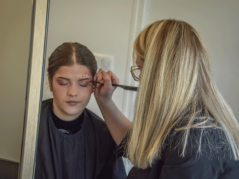 Brevet Professionnel Esthétique, Cosmétique et Parfumerie