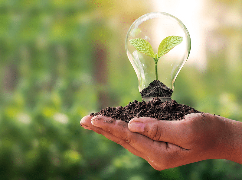 BTS Métiers des Services à l&rsquo;Environnement